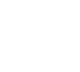 Wings of Grace